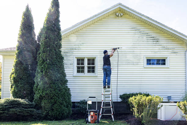 Local Pressure Washing Services in Donald, OR