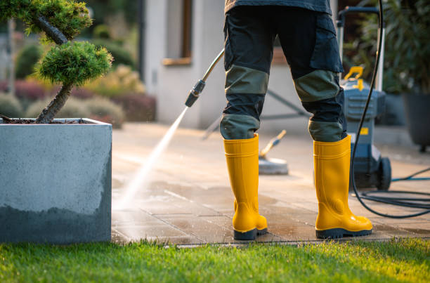 Best Roof Pressure Washing  in Donald, OR